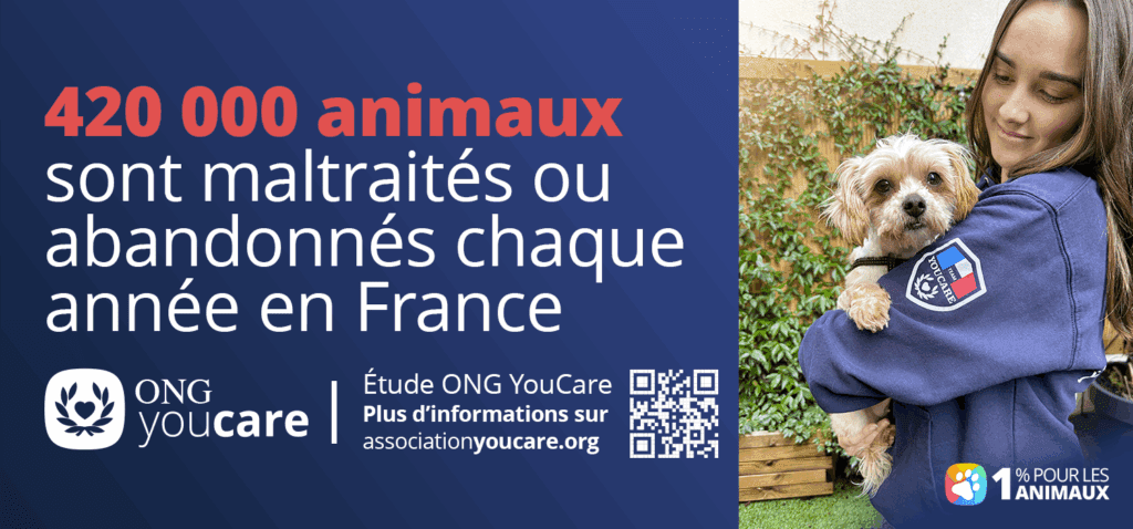 nombre abandon animaux France 2024